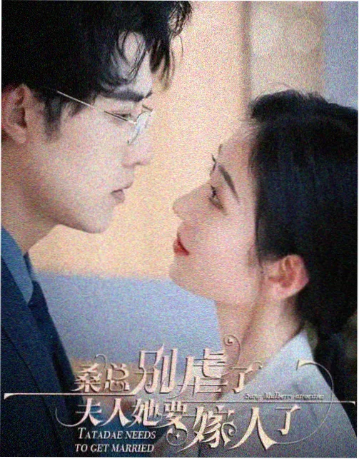 白露为霜 古装电视剧免费观看